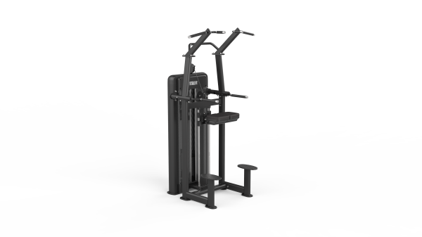 Machine à Tractions et Dips Assistés – Polyvalente Haut du Corps