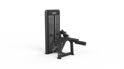 Ischios Allongé– Ischio-Jambiers à Charge Guidée